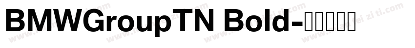 BMWGroupTN Bold字体转换